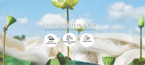 Fibre de protéine de lotus